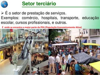 É onde se encontra a maior parte da PEA (População Economicamente Ativa)
 