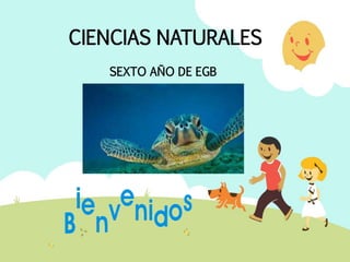 CIENCIAS NATURALES
SEXTO AÑO DE EGB
 
