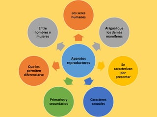 Aparatos
reproductores
Los seres
humanos
Al igual que
los demás
mamíferos
Se
caracterizan
por
presentar
Caracteres
sexuales
Primarios y
secundarios
Que les
permiten
diferenciarse
Entre
hombres y
mujeres
 