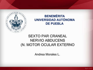SEXTO PAR CRANEAL
NERVIO ABDUCENS
(N. MOTOR OCULAR EXTERNO
Andrea Morales L.
BENEMÉRITA
UNIVERSIDAD AUTÓNOMA
DE PUEBLA
 