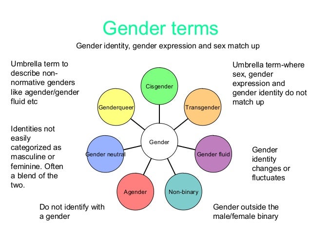 Gender Identity Terms Triumphias