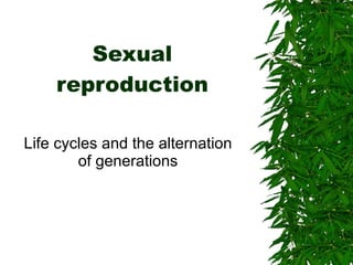 Sexual reproduction Life cycles and the alternation of generations 