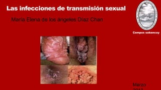 Las infecciones de transmisión sexual
María Elena de los ángeles Díaz Chan
Campus sabancuy
Marzo
 