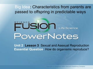 Unit 2 Lesson 3 Sexual and Asexual Reproduction
Essential Question: How do organisms reproduce?
Copyright © Houghton Mifflin Harcourt Publishing Company
Big Idea: Characteristics from parents are
passed to offspring in predictable ways
 