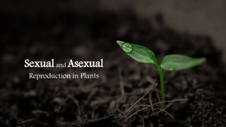 Sexualand Asexual
Reproduction in Plants
 