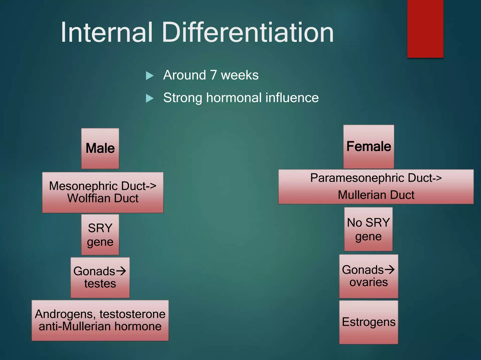 Sexual behaviors | PPTX