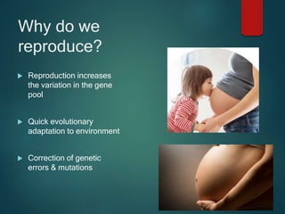 Reproduction Behavioranimation Sexual behaviors | PPTX