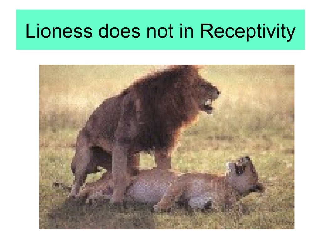 Reproductive behaviour 1Sexual behaviour in animals