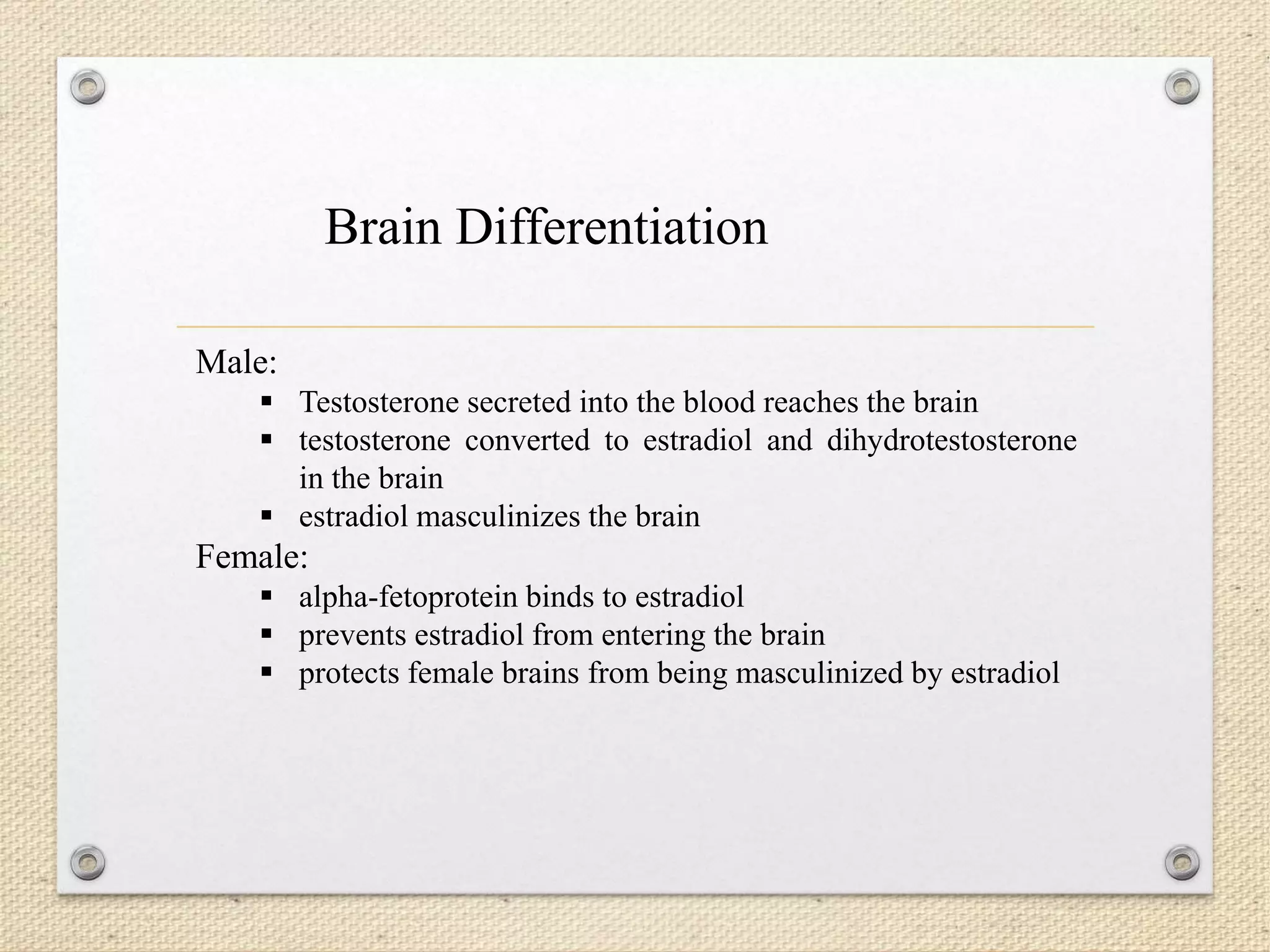 Male:
 Testosterone secreted into the blood reaches the brain
 testosterone converted to estradiol and dihydrotestosterone
in the brain
 estradiol masculinizes the brain
Female:
 alpha-fetoprotein binds to estradiol
 prevents estradiol from entering the brain
 protects female brains from being masculinized by estradiol
Brain Differentiation
 