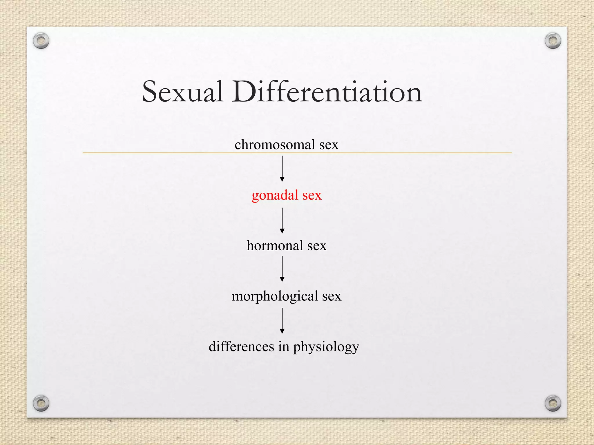 Sexual Differentiation
chromosomal sex
gonadal sex
hormonal sex
morphological sex
differences in physiology
 