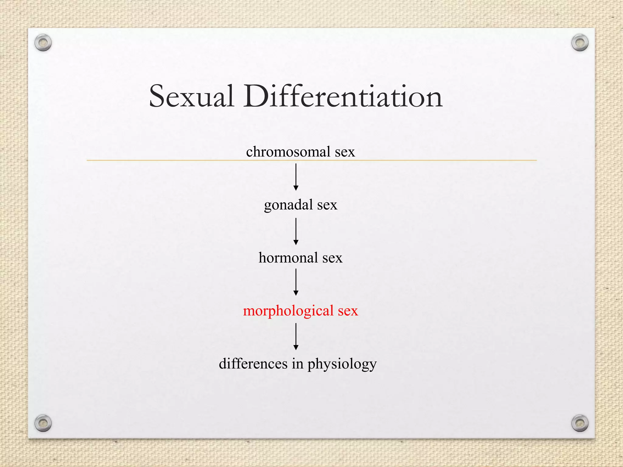 Sexual Differentiation
chromosomal sex
gonadal sex
hormonal sex
morphological sex
differences in physiology
 