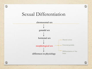 Sexual Differentiation
chromosomal sex
gonadal sex
hormonal sex
morphological sex
differences in physiology
Ductal system
External genitalia
Differentiation of the
brain
 