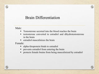 Male:
 Testosterone secreted into the blood reaches the brain
 testosterone converted to estradiol and dihydrotestosterone
in the brain
 estradiol masculinizes the brain
Female:
 alpha-fetoprotein binds to estradiol
 prevents estradiol from entering the brain
 protects female brains from being masculinized by estradiol
Brain Differentiation
 