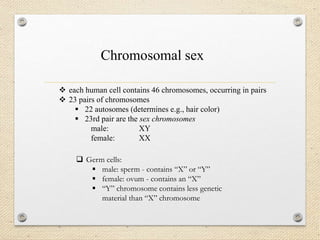  each human cell contains 46 chromosomes, occurring in pairs
 23 pairs of chromosomes
 22 autosomes (determines e.g., hair color)
 23rd pair are the sex chromosomes
male: XY
female: XX
Chromosomal sex
 Germ cells:
 male: sperm - contains “X” or “Y”
 female: ovum - contains an “X”
 “Y” chromosome contains less genetic
material than “X” chromosome
 
