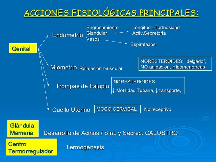 Teorico de Hormonas Sexuales Teorico de Hormonas Sexuales