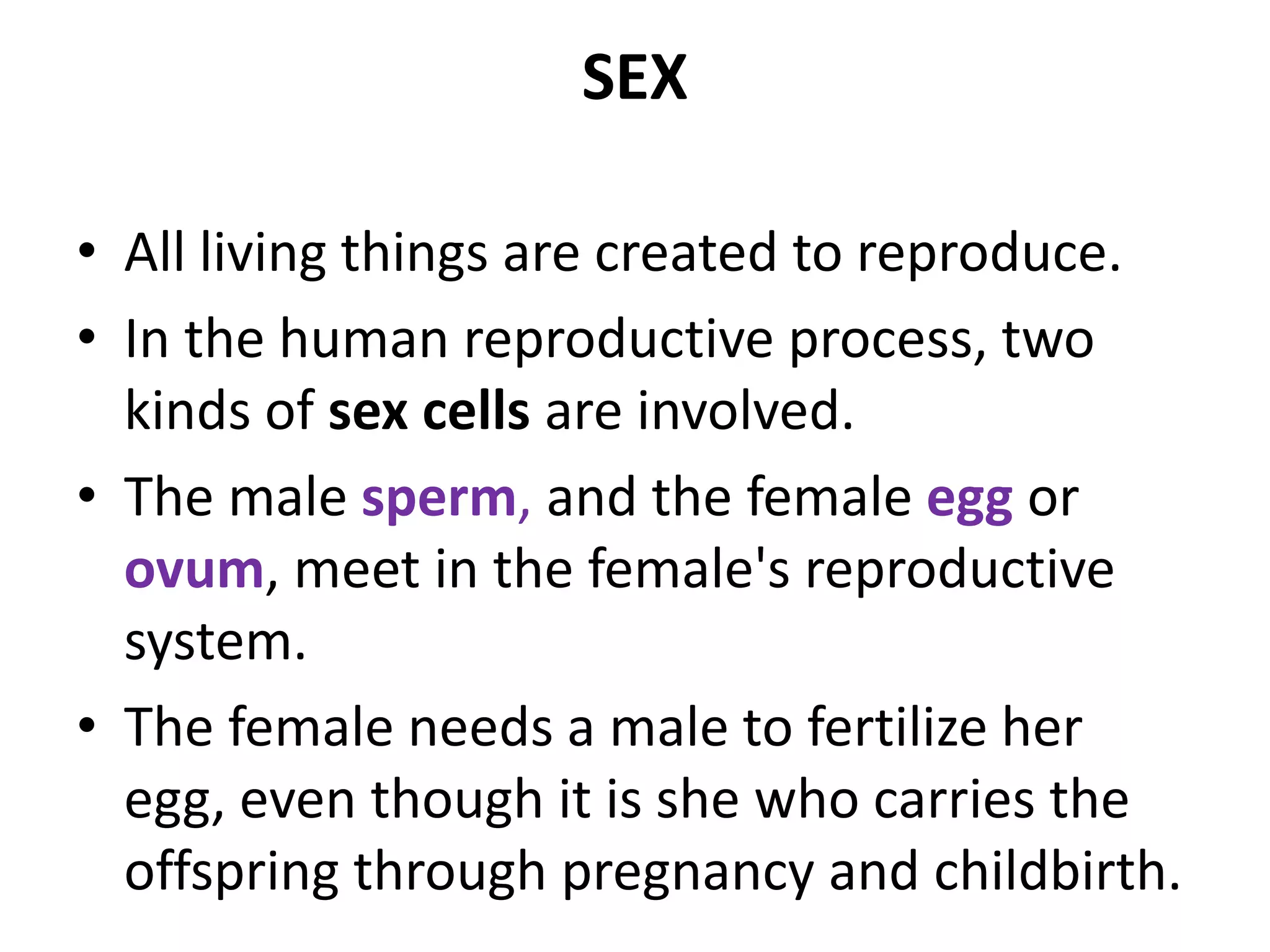 Sex and Health Awareness for Teenagers | PPTX