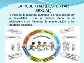 LA PUBERTAD (DESPERTAR SEXUAL) Al iniciarse la pubertad aumenta la preocupación por la sexualidad.  En la primera etapa de la adolescencia es frecuente la masturbación y las fantasías sexuales. 