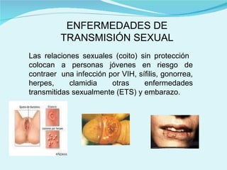 ENFERMEDADES DE TRANSMISIÓN SEXUAL Las relaciones sexuales (coito) sin protección  colocan a personas jóvenes en riesgo de contraer  una infección por VIH, sífilis, gonorrea, herpes, clamidia otras enfermedades transmitidas sexualmente (ETS) y embarazo. 