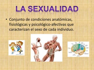 LA SEXUALIDAD Conjunto de condiciones anatómicas, fisiológicas y psicológico-afectivas que caracterizan el sexo de cada individuo.  