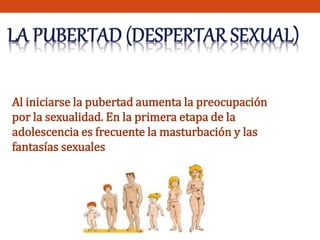 Al iniciarse la pubertad aumenta la preocupación 
por la sexualidad. En la primera etapa de la 
adolescencia es frecuente la masturbación y las 
fantasías sexuales 
 