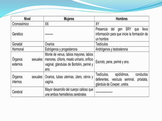 Nivel Mujeres Hombres 
Cromosómico XX XY 
Genético --------- 
Presencia del gen SRY que lleva 
información para que inicie la formación de 
un hombre 
Gonadal Ovarios Testículos 
Hormonal Estrógenos y progesterona Andrógenos y testosterona 
Órganos sexuales 
externos 
Monte de venus, labios mayores, labios 
menores, clítoris, meato urinario, orificio 
vaginal, glándulas de Bortolini, periné y 
ano. 
Escroto, pene, periné y ano. 
Órganos sexuales 
internos 
Ovarios, tubas uterinas, útero, cérvix y 
vagina. 
Testículos, epidídimos, conductos 
deferentes, vesícula seminal, próstata, 
glándula de Cowper, uretra. 
Cerebral 
Mayor desarrollo del cuerpo calloso que 
une ambos hemisferios cerebrales 
------------------- 
 
