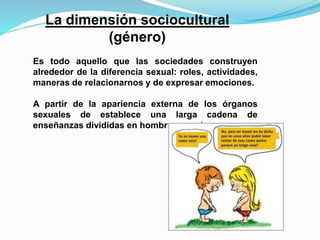 La dimensión sociocultural 
(género) 
Es todo aquello que las sociedades construyen 
alrededor de la diferencia sexual: roles, actividades, 
maneras de relacionarnos y de expresar emociones. 
A partir de la apariencia externa de los órganos 
sexuales de establece una larga cadena de 
enseñanzas divididas en hombres y mujeres. 
 
