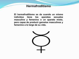 Hermafroditismo 
El hermafroditismo se da cuando un mismo 
individuo tiene los aparatos sexuales 
masculino y femenino o un aparato mixto, 
pero capaz de producir gametos masculinos y 
femenino a lo largo de su vida. 
 