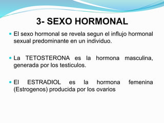 3- SEXO HORMONAL 
 El sexo hormonal se revela segun el influjo hormonal 
sexual predominante en un individuo. 
 La TETOSTERONA es la hormona masculina, 
generada por los testiculos. 
 El ESTRADIOL es la hormona femenina 
(Estrogenos) producida por los ovarios 
 