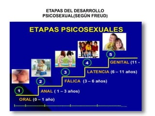 ETAPAS DEL DESARROLLO
PSICOSEXUAL(SEGÚN FREUD)
 
