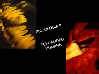 PSICOLOGIA II SEXUALIDAD HUMANA 