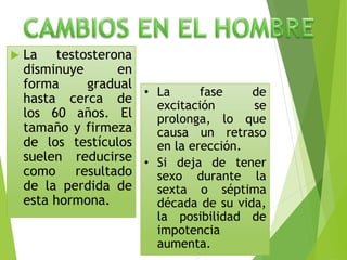  La testosterona
disminuye en
forma gradual
hasta cerca de
los 60 años. El
tamaño y firmeza
de los testículos
suelen reducirse
como resultado
de la perdida de
esta hormona.
• La fase de
excitación se
prolonga, lo que
causa un retraso
en la erección.
• Si deja de tener
sexo durante la
sexta o séptima
década de su vida,
la posibilidad de
impotencia
aumenta.
 