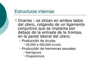 Estructuras internas <ul><li>Ovarios : se sitúan en ambos lados del útero, colgando de un ligamento conjuntivo que se impl...
