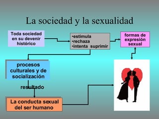 La sociedad y la sexualidad estimula  rechaza  intenta  suprimir formas de expresión sexual La conducta sexual del ser humano  procesos culturales y de socialización resultado Toda sociedad en su devenir histórico 
