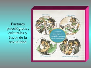 Factores psicológicos , culturales y éticos de la sexualidad 