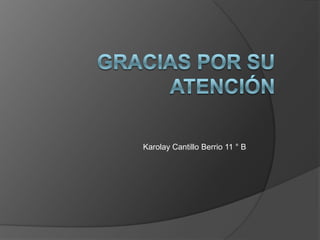 Karolay Cantillo Berrio 11 ° B
 