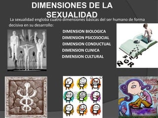 DIMENSIONES DE LA
                    SEXUALIDAD
La sexualidad engloba cuatro dimensiones básicas del ser humano de forma
decisiva en su desarrollo:
                             DIMENSION BIOLOGICA
                             DIMENSION PSICOSOCIAL
                             DIMENSION CONDUCTUAL
                             DIMENSION CLINICA
                             DIMENSION CULTURAL
 