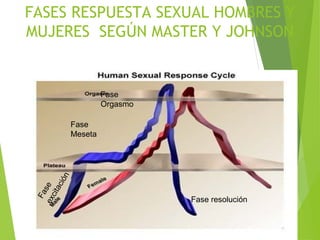 CLASIFICACION DE
TRASTORNOS SEXUALES
1. DISFUNCIONES SEXUALES
2. TRANSTORNOS DE IDENTIDAD SEXUAL o
TRANSEXUALIDAD.
3. PARA...