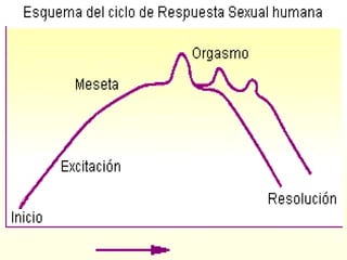 1. DISFUNCIONES SEXUALES
2.T. EXCITACIÓN
SEXUAL
3.T. ORGASMO4.T. DOLOR
1.TRANSTORNOS
DESEO SEXUAL
 