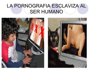 LA PORNOGRAFIA ESCLAVIZA AL
SER HUMANO
 