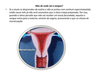 O corpo muda nas meninasCom mais frequência do que quando eram pequenas, as meninas que estão na idade da puberdade pensam e sonham coisas excitantes Nas meninas existe algo que acontece de repente: a menstruação. A umas aparece-lhes mais cedo e a outras mais tarde, porque não há uma idade específica. Será que tenho uma ferida na vagina?!