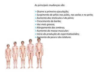 E porque sai o sangue?O sangue sai porque o corpo da rapariga começa a estar preparado para ter bebés.Todos os meses os ovários e o útero se preparam para uma gravidez. Um dos óvulos torna-se maior e sai do ovário; a isto chama-se ovulação.Quando um homem ejacula na vagina da mulher, um espermatozóide pode chegar até ao óvulo.Quando um óvulo e um espermatozóide se juntam, diz-se que o óvulo está fecundado e será o início de um bebé.Ovários