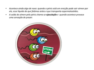 Crescimento da barba;