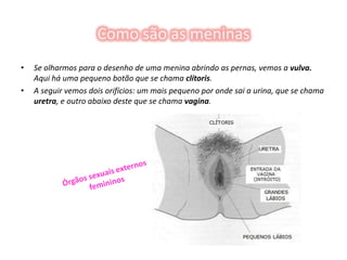 Início do ciclo menstrual;