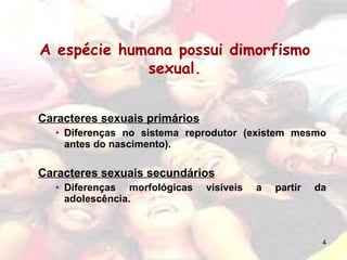 Caracteres sexuais primários Diferenças no sistema reprodutor (existem mesmo antes do nascimento). Caracteres sexuais secundários Diferenças morfológicas visíveis a partir da adolescência. A espécie humana possui dimorfismo sexual. 