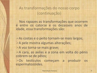 Nos rapazes as transformações que ocorrem é entre os catorze e os dezasseis anos de idade, essa transformações são: As costas e o peito tornam-se mais largos; A pele mostra algumas alterações; A voz torna-se mais grave; A cara, as axilas e a zona em volta do pénis cobrem-se de pêlos; Os testículos começam a produzir os espermatozóides. As transformações do nosso corpo (continuação) Reprodução humana 