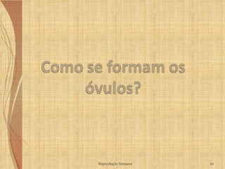 Reprodução humana 