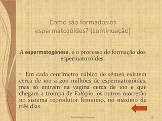 A   espermatogénese ,  é o processo de formação dos espermatozóides. Em cada centímetro cúbico de sémen existem cerca de 100 a 200 milhões de espermatozóides, mas só entram na vagina cerca de 100 e que chegam a trompa de Falópio, os outros morrerão no sistema reprodutor feminino, no máximo de três dias.  Como são formados os espermatozóides? (continuação) Reprodução humana 
