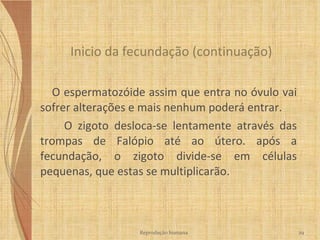 O espermatozóide assim que entra no óvulo vai sofrer alterações e mais nenhum poderá entrar. O zigoto desloca-se lentamente através das trompas de Falópio até ao útero. após a fecundação, o zigoto divide-se em células pequenas, que estas se multiplicarão. Inicio da fecundação (continuação) Reprodução humana 