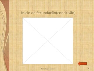 Inicio da fecundação(conclusão) Reprodução humana 