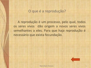 O que é a reprodução? A reprodução é um processo, pelo qual, todos os seres vivos  dão origem a novos seres vivos semelhantes a eles. Para que haja reprodução é necessário que exista fecundação. Reprodução humana 